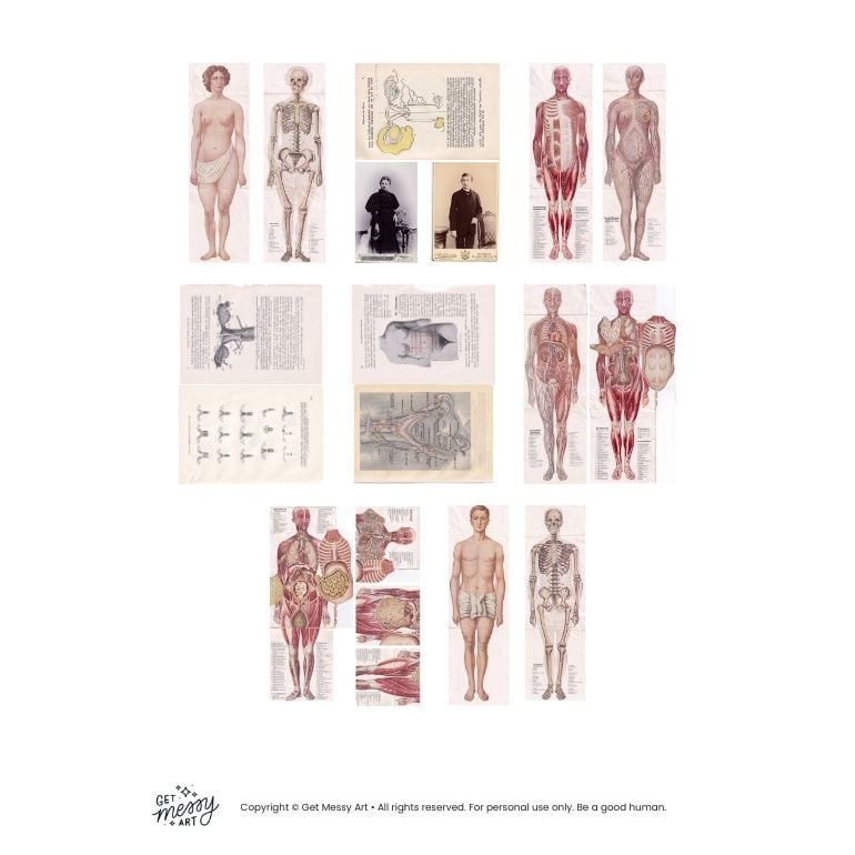 Digital Ephemera - Anatomy